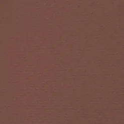 MAISON EXCLUSIVE - Auvent latéral rétractable de patio 160x300 cm marron