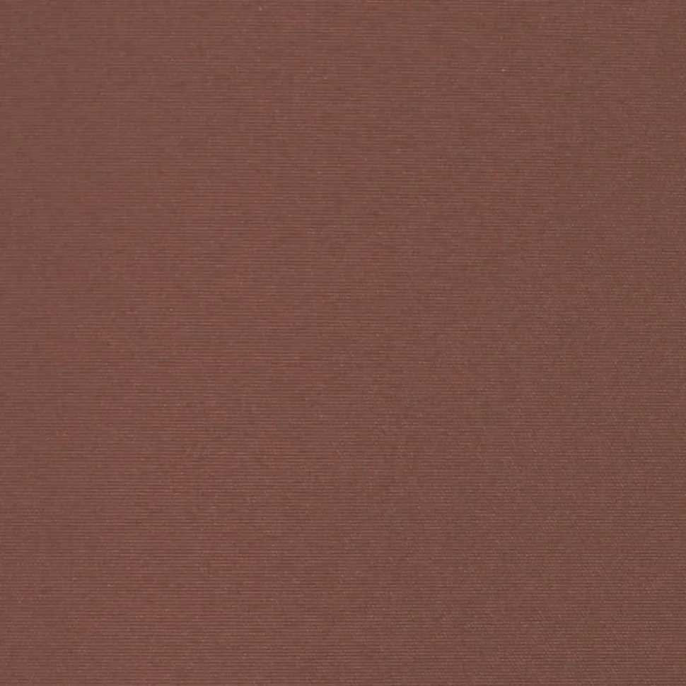 MAISON EXCLUSIVE - Auvent latéral rétractable de patio 160x300 cm marron