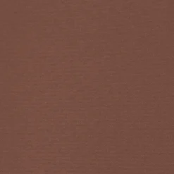 MAISON EXCLUSIVE - Auvent latéral rétractable de patio 180x600 cm marron