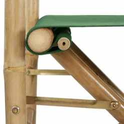 MAISON EXCLUSIVE - Chaises pliables de directeur lot de 2 vert bambou et tissu