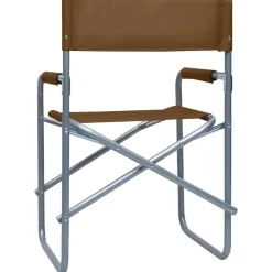 MAISON EXCLUSIVE - Chaises de metteur en scène lot de 2 acier marron