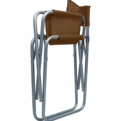 MAISON EXCLUSIVE - Chaises de metteur en scène lot de 2 acier marron