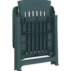 MAISON EXCLUSIVE - Chaises inclinables de jardin lot de 2 vert pp