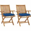 MAISON EXCLUSIVE - Chaises de jardin lot de 2 et coussins bleu bois de teck massif