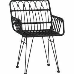 MAISON EXCLUSIVE - Chaises de jardin lot de 2 avec accoudoir noir 56x64x80 cm