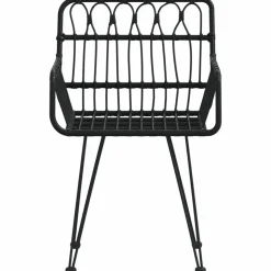 MAISON EXCLUSIVE - Chaises de jardin lot de 2 avec accoudoir noir 56x64x80 cm