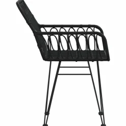 MAISON EXCLUSIVE - Chaises de jardin lot de 2 avec accoudoir noir 56x64x80 cm