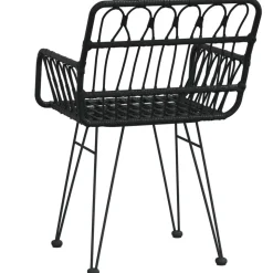 MAISON EXCLUSIVE - Chaises de jardin lot de 2 avec accoudoir noir 56x64x80 cm