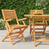 MAISON EXCLUSIVE - Chaises de jardin pliantes lot de 2 55x62x90cm bois massif teck