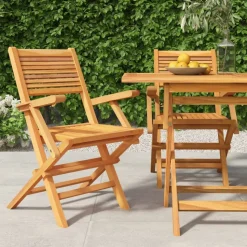 MAISON EXCLUSIVE - Chaises de jardin pliantes lot de 2 55x62x90cm bois massif teck