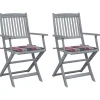 MAISON EXCLUSIVE - Chaises pliables d'extérieur lot de 2 et coussins bois d'acacia
