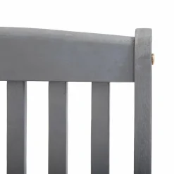 MAISON EXCLUSIVE - Chaises pliables d'extérieur lot de 2 et coussins bois d'acacia