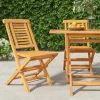 MAISON EXCLUSIVE - Chaises de jardin pliantes lot de 2 47x63x90cm bois massif teck