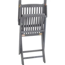 MAISON EXCLUSIVE - Chaises pliables d'extérieur lot de 2 et coussins bois d'acacia