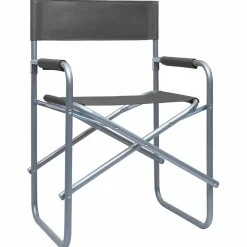 MAISON EXCLUSIVE - Chaises de metteur en scène lot de 2 acier gris