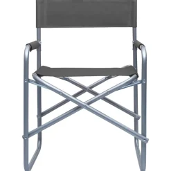 MAISON EXCLUSIVE - Chaises de metteur en scène lot de 2 acier gris