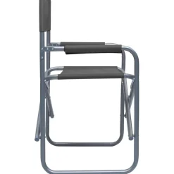 MAISON EXCLUSIVE - Chaises de metteur en scène lot de 2 acier gris