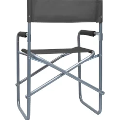 MAISON EXCLUSIVE - Chaises de metteur en scène lot de 2 acier gris