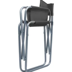 MAISON EXCLUSIVE - Chaises de metteur en scène lot de 2 acier gris