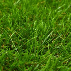 MAISON EXCLUSIVE - Gazon artificiel 1x10 m/30 mm vert