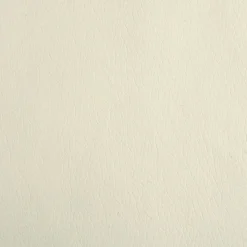 MAISON EXCLUSIVE - Lit pour chien avec extension crème 100x50x30 cm similicuir