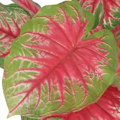 MAISON EXCLUSIVE - Plante artificielle avec pot caladium 85 cm vert et rouge