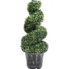 MAISON EXCLUSIVE - Plante de buis artificiel en spirale avec pot vert 89 cm