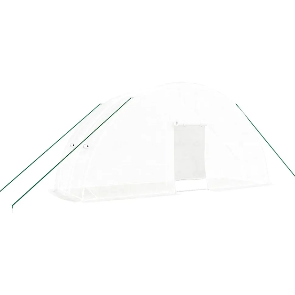 MAISON EXCLUSIVE - Serre avec cadre en acier blanc 12 m² 6x2x2,85 m