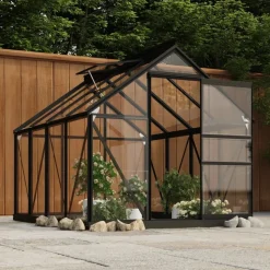 MAISON EXCLUSIVE - Serre en verre anthracite 155x200,5x191 cm aluminium