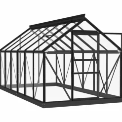 MAISON EXCLUSIVE - Serre en verre anthracite 155x298x191 cm aluminium