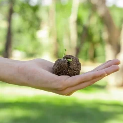 MES COURSES EN VRAC - Cultivea diy bombes de graines semis de fleurs à planter pour abeilles