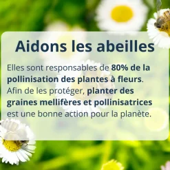 MES COURSES EN VRAC - Cultivea diy bombes de graines semis de fleurs à planter pour abeilles