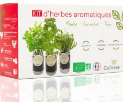 MES COURSES EN VRAC - Cultivea® kit prêt à pousser d’herbes aromatiques - menthe, coriandre, thym