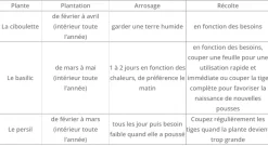 MES COURSES EN VRAC - Cultivea kit prêt à pousser d’herbes aromatiques - jardin potager d’intérieur - (ciboulette, basilic persil)