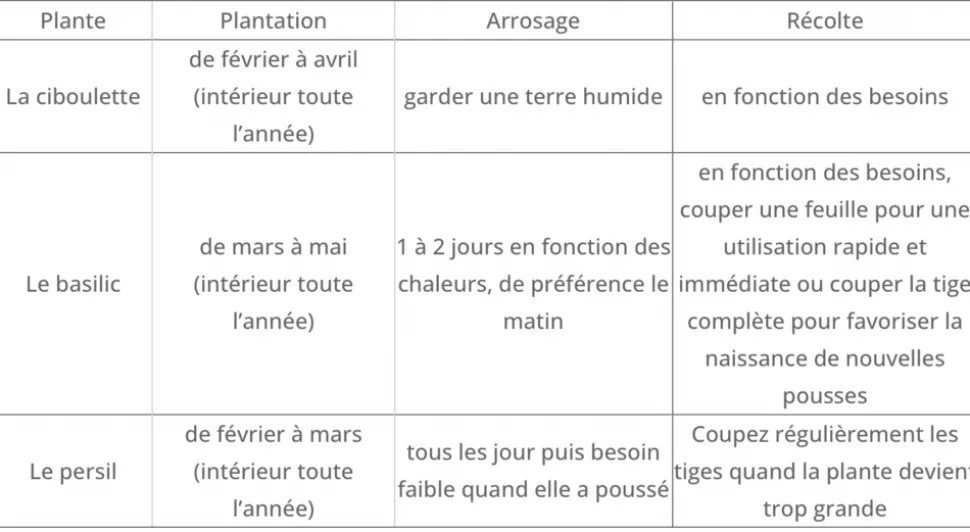 MES COURSES EN VRAC - Cultivea kit prêt à pousser d’herbes aromatiques - jardin potager d’intérieur - (ciboulette, basilic persil)