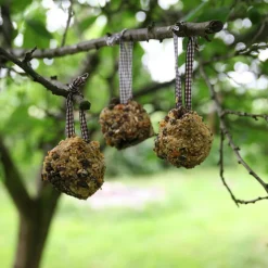 MES COURSES EN VRAC - Diy - mangeoire pomme de pin à fabriquer