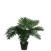 MICA - Philodendron artificiel, en pot H60cm