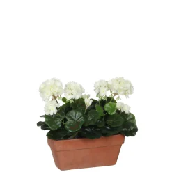 MICA - Plante artificielle : Jardinière géranium blanc 29x13x40 cm