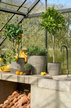 MICA DECORATIONS - Mica decorations - laurier arbre artificiel vert h120