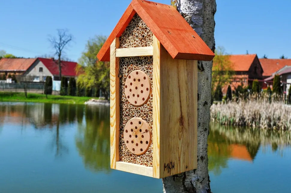 MKW - Gite à insectes - premium