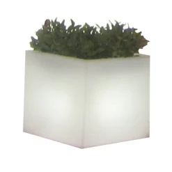 NEWGARDEN - Pot de fleurs narciso 40 avec lumière 40x40x36cm