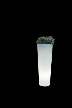 NEWGARDEN - Pot lumineux ficus 60 lumière blanche froide par câble ø29x59cm