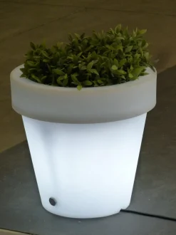 NEWGARDEN - Pot lumineux magnolia 80 lumière blanche froide par câble ø80x76cm