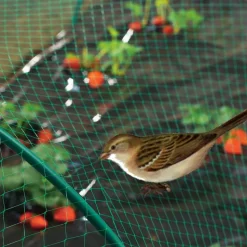 NORTENE - Filet classique protection - 10 m x 2 m