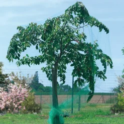 NORTENE - Filet de protection oiseaux "birdnet" - 1 x 10 m - noir