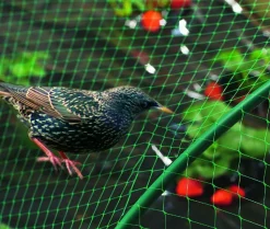 NORTENE - Filet de protection oiseaux "birdnet" - 1 x 10 m - noir