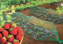 NORTENE - Filet de protection oiseaux 