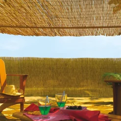 NORTENE - Paillon de roseaux fins Reedcane - 1x5m