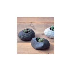 NOTED - Kit cactus pot en pierre