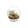 Oase terrarium décoratif 60l avec cadre blanc - air 60 white